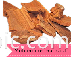 Natural Dried flower Okra flower extract